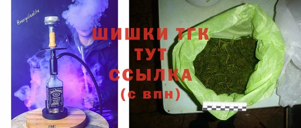 твердый Абаза
