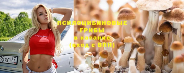 твердый Абаза